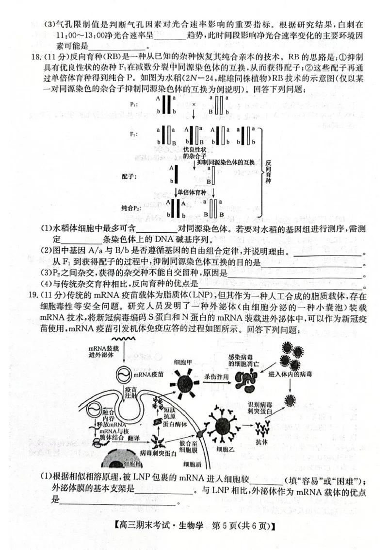 酒泉市普通高中2025~2026学年度第一学期期末考试生物(1)_2026年1月_260114甘肃省酒泉市普通高中2025~2026学年度第一学期期末考试（全）
