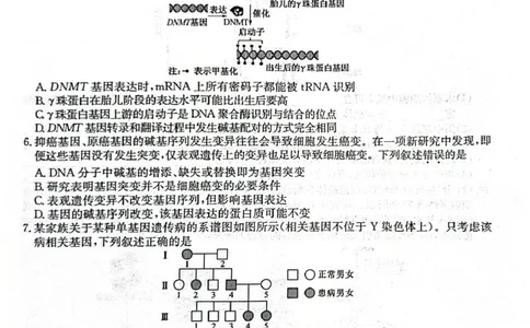 酒泉市普通高中2025~2026学年度第一学期期末考试生物(1)_2026年1月_260114甘肃省酒泉市普通高中2025~2026学年度第一学期期末考试（全）