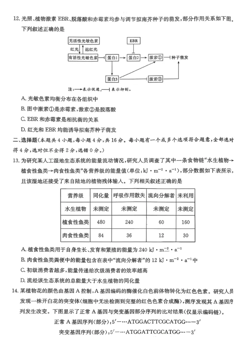 湖南名校联考联合体2026届高三年级1月联考生物学试卷+答案(1)_2026年1月_260106湖南省名校联考联合体2025-2026学年高三上学期1月联考（全科）