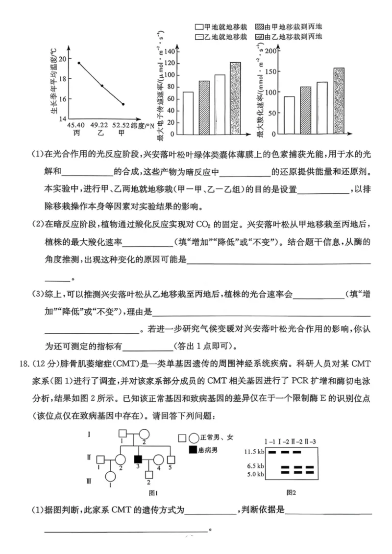 湖南名校联考联合体2026届高三年级1月联考生物学试卷+答案(1)_2026年1月_260106湖南省名校联考联合体2025-2026学年高三上学期1月联考（全科）