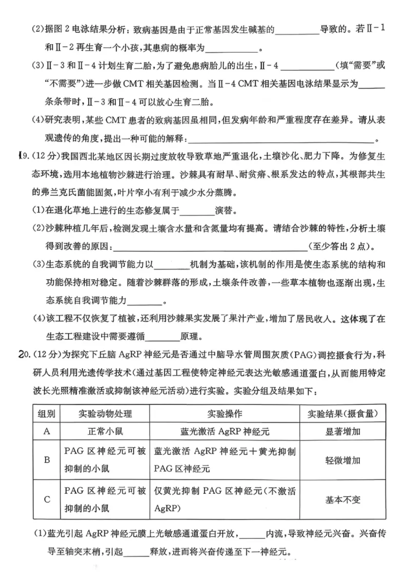 湖南名校联考联合体2026届高三年级1月联考生物学试卷+答案(1)_2026年1月_260106湖南省名校联考联合体2025-2026学年高三上学期1月联考（全科）
