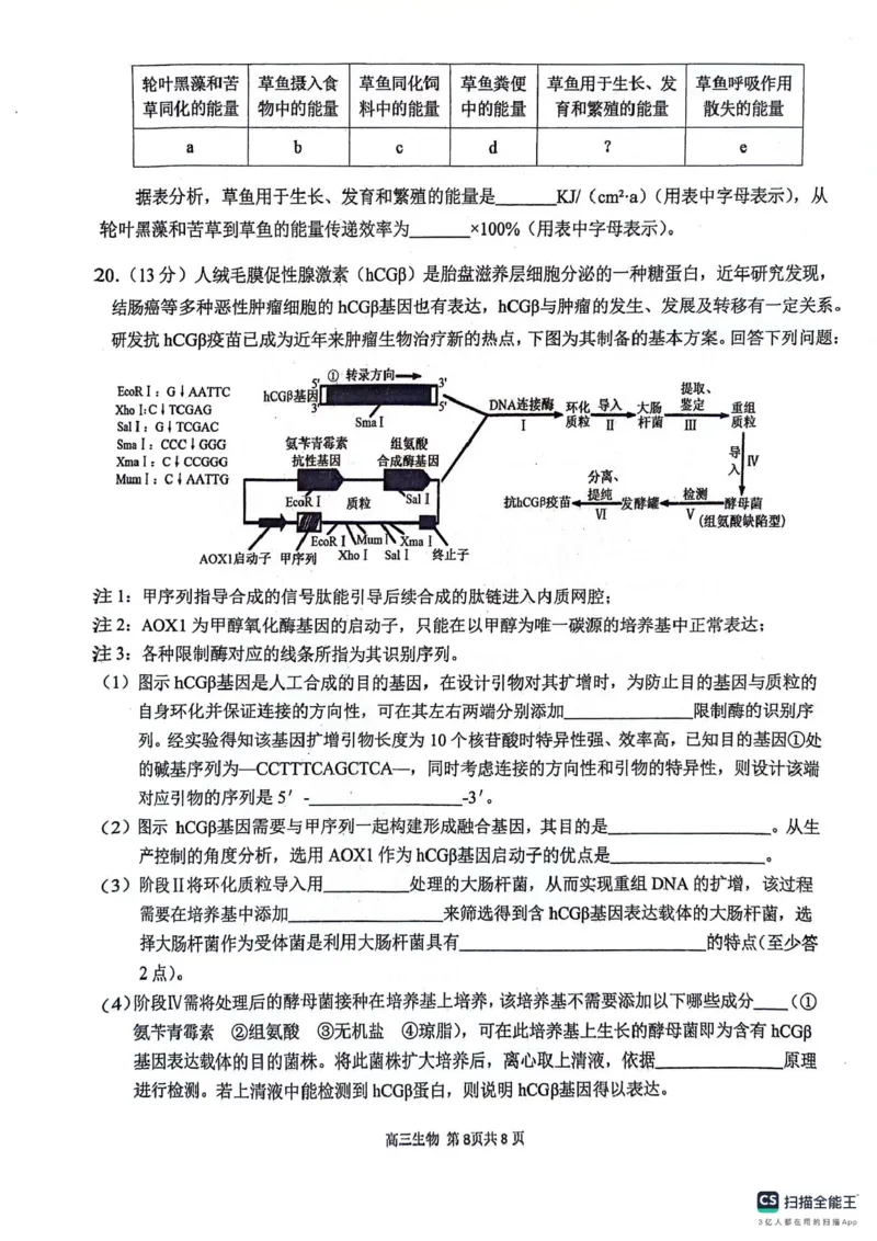 安徽师范大学附属中学2024届高三下学期最后一卷（三模）生物试题(无答案)(1)_2024年6月(1)_026月合集_2024届安徽师大附中高三下学期最后一卷（三模）