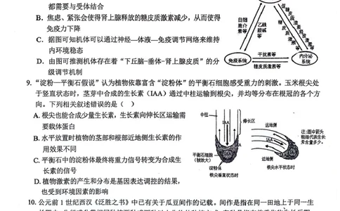 安徽师范大学附属中学2024届高三下学期最后一卷（三模）生物试题(无答案)(1)_2024年6月(1)_026月合集_2024届安徽师大附中高三下学期最后一卷（三模）