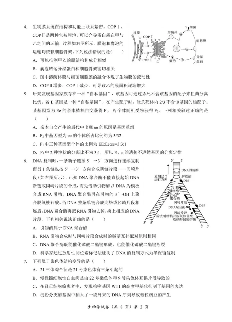 高三生物试卷_2025年9月_250920湖北省部分名校2025-2026学年高三上学期9月月考（全科）_湖北省部分名校2025-2026学年高三上学期9月考试生物试题（扫描版，有解析）