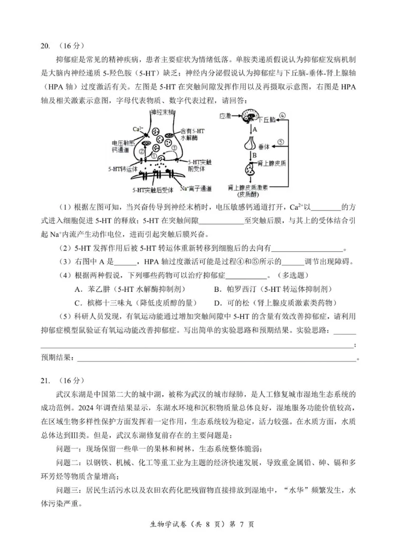高三生物试卷_2025年9月_250920湖北省部分名校2025-2026学年高三上学期9月月考（全科）_湖北省部分名校2025-2026学年高三上学期9月考试生物试题（扫描版，有解析）
