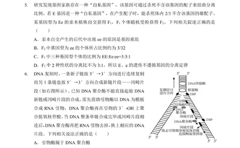 高三生物试卷_2025年9月_250920湖北省部分名校2025-2026学年高三上学期9月月考（全科）_湖北省部分名校2025-2026学年高三上学期9月考试生物试题（扫描版，有解析）