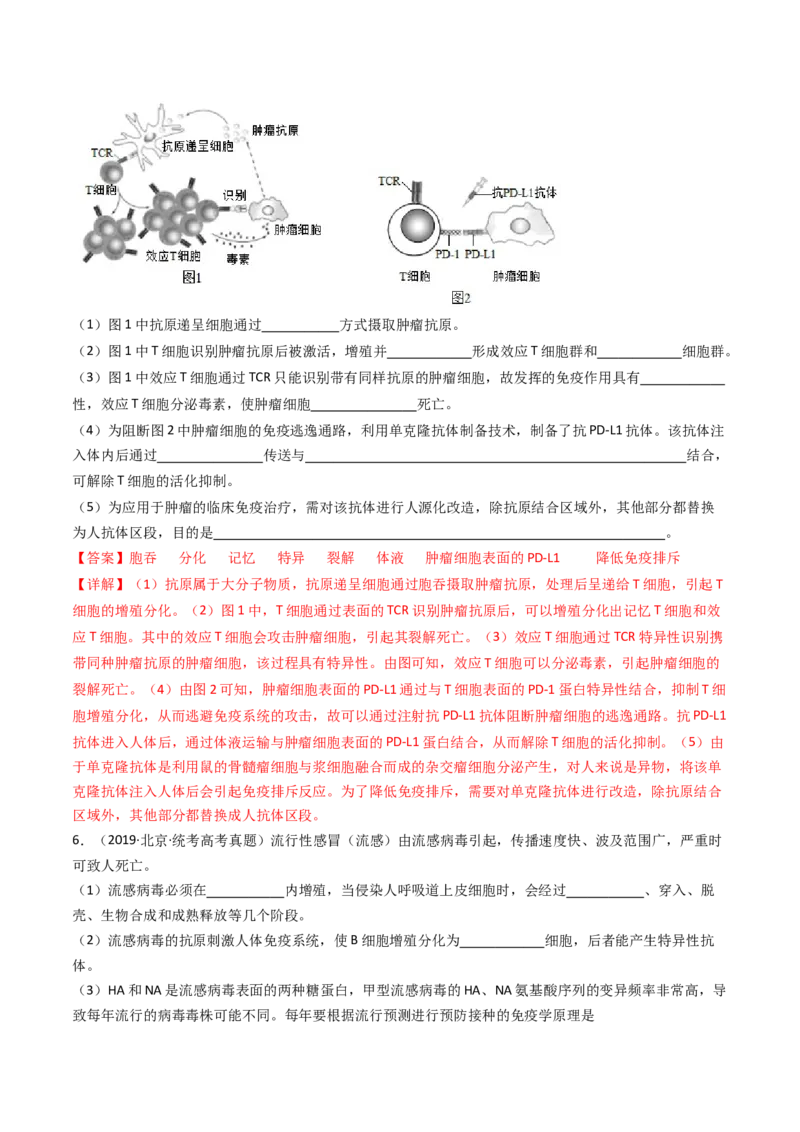 专题19免疫调节（解析卷）_近10年高考真题汇编（必刷）_十年（2014-2024）高考生物真题分项汇编（全国通用）_十年（2014-2023）高考生物真题分项汇编（全国通用）