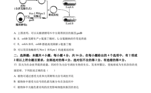 精品解析：2024年江西高考真题生物试卷（原卷版）_高考真题全网收集_生物学_精品解析：2024年新高考江西卷生物高考真题解析（参考版）