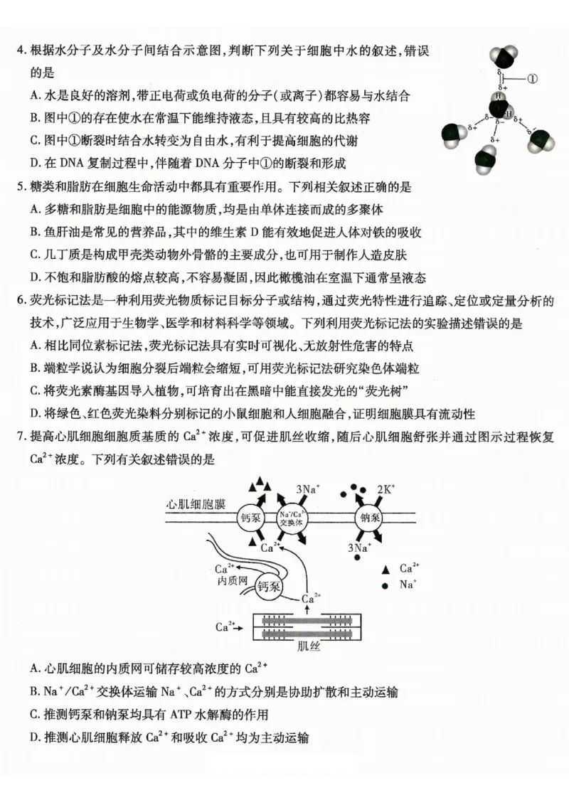 重庆市南开中学高2026届高三第一次质量检测+生物_2025年9月_250903重庆市南开中学高2026届高三第一次质量检测（全科）
