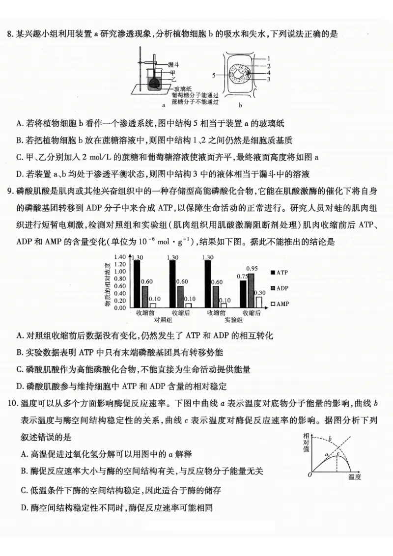重庆市南开中学高2026届高三第一次质量检测+生物_2025年9月_250903重庆市南开中学高2026届高三第一次质量检测（全科）