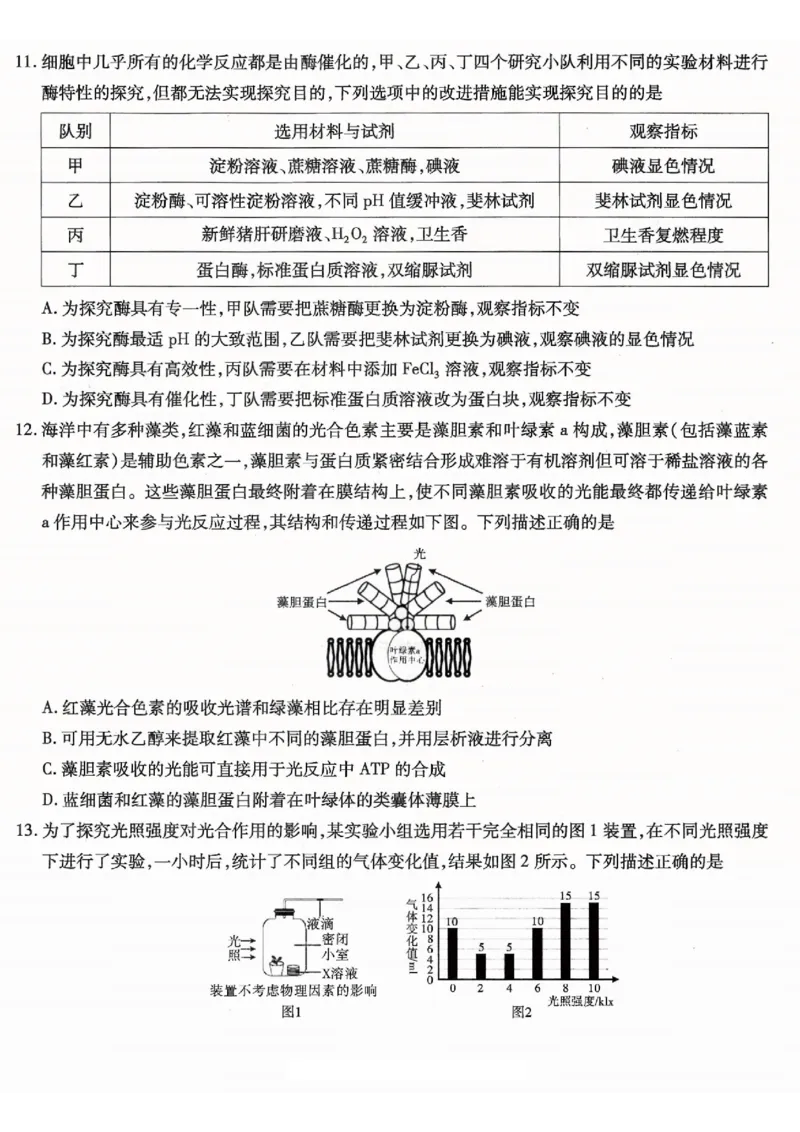 重庆市南开中学高2026届高三第一次质量检测+生物_2025年9月_250903重庆市南开中学高2026届高三第一次质量检测（全科）