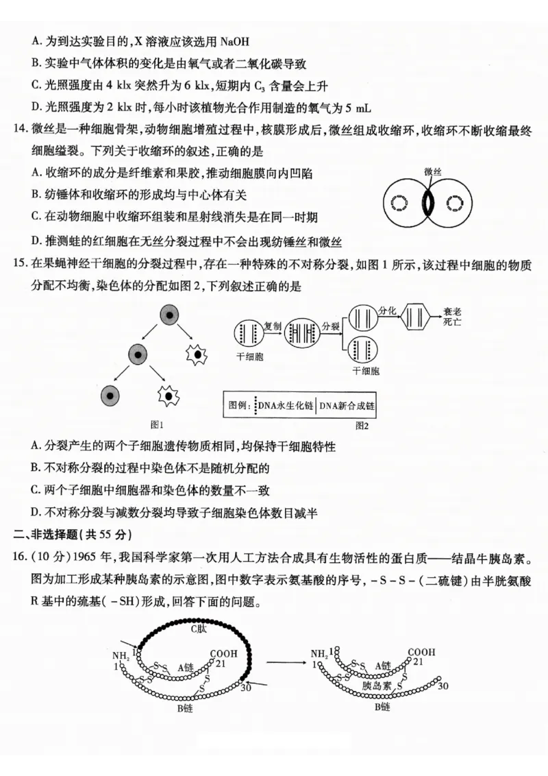 重庆市南开中学高2026届高三第一次质量检测+生物_2025年9月_250903重庆市南开中学高2026届高三第一次质量检测（全科）