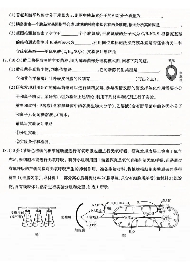 重庆市南开中学高2026届高三第一次质量检测+生物_2025年9月_250903重庆市南开中学高2026届高三第一次质量检测（全科）