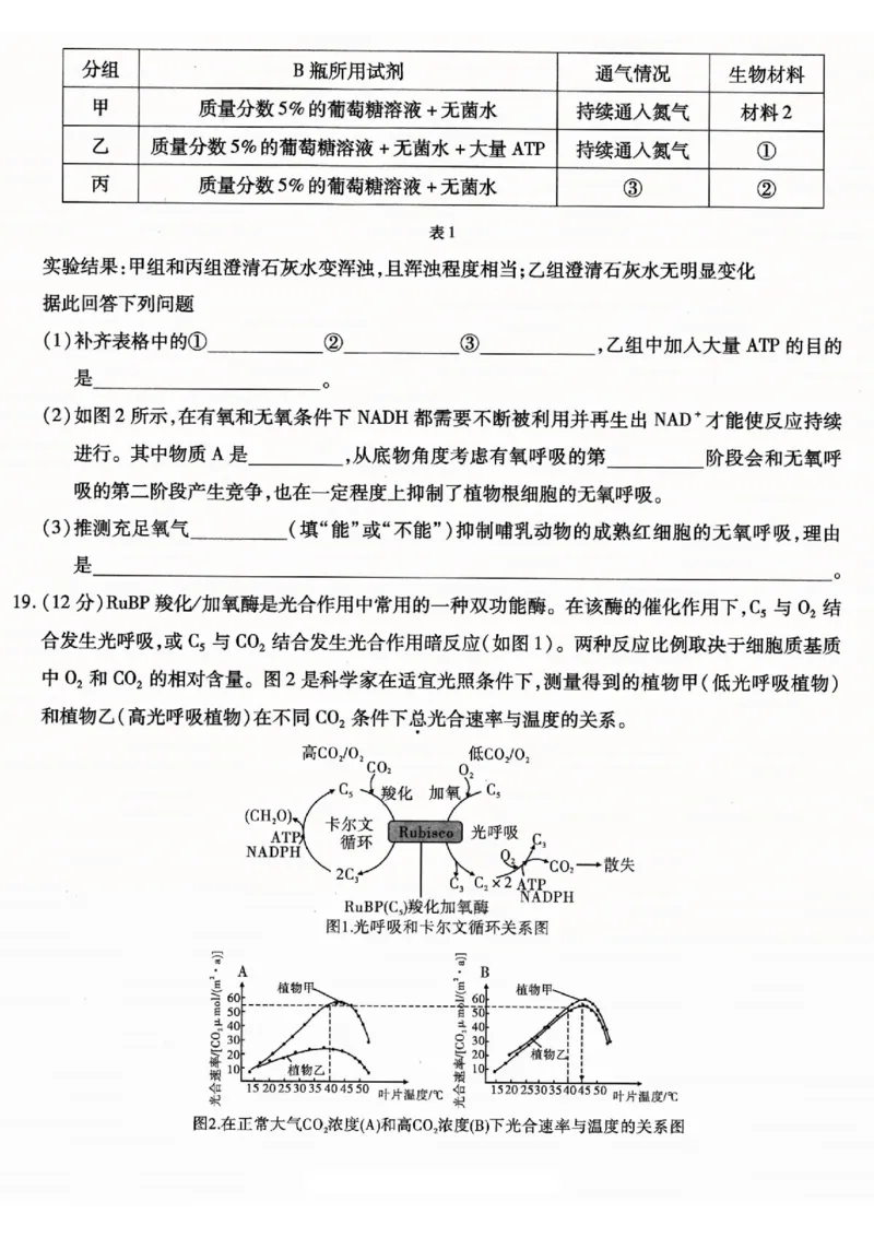 重庆市南开中学高2026届高三第一次质量检测+生物_2025年9月_250903重庆市南开中学高2026届高三第一次质量检测（全科）