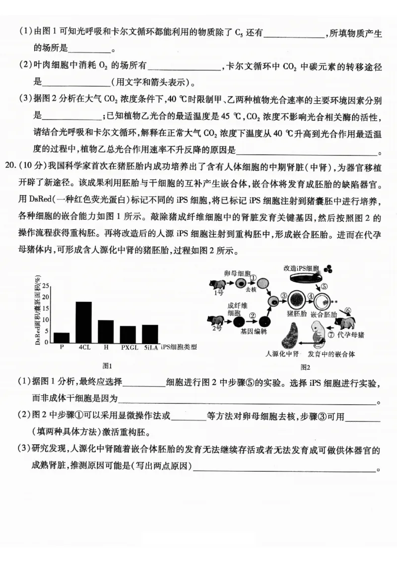 重庆市南开中学高2026届高三第一次质量检测+生物_2025年9月_250903重庆市南开中学高2026届高三第一次质量检测（全科）