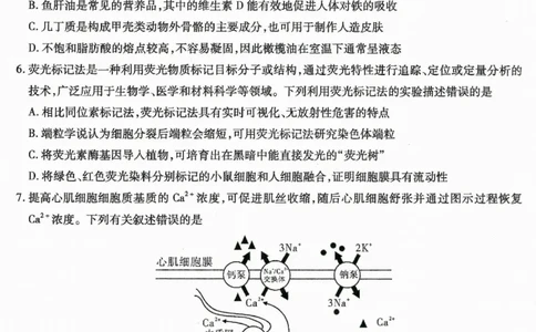 重庆市南开中学高2026届高三第一次质量检测+生物_2025年9月_250903重庆市南开中学高2026届高三第一次质量检测（全科）