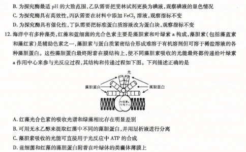 重庆市南开中学高2026届高三第一次质量检测+生物_2025年9月_250903重庆市南开中学高2026届高三第一次质量检测（全科）