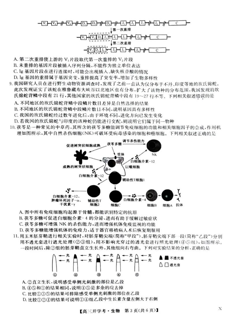 九师联盟高三上(开学考)-生物试题+答案(1)_2023年8月_028月合集_2024届九师联盟高三8月开学联考（XLG）