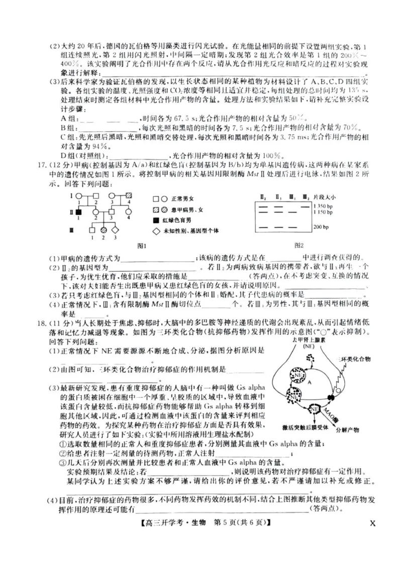 九师联盟高三上(开学考)-生物试题+答案(1)_2023年8月_028月合集_2024届九师联盟高三8月开学联考（XLG）