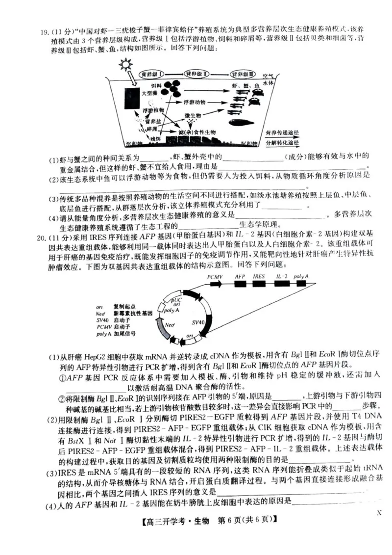 九师联盟高三上(开学考)-生物试题+答案(1)_2023年8月_028月合集_2024届九师联盟高三8月开学联考（XLG）