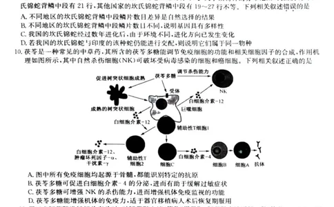 九师联盟高三上(开学考)-生物试题+答案(1)_2023年8月_028月合集_2024届九师联盟高三8月开学联考（XLG）