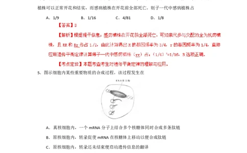 2012年高考生物试卷（安徽）（解析卷）_生物历年高考真题_新&middot;PDF版2008-2025&middot;高考生物真题_生物（按年份分类）2008-2025_2012&middot;高考生物真题