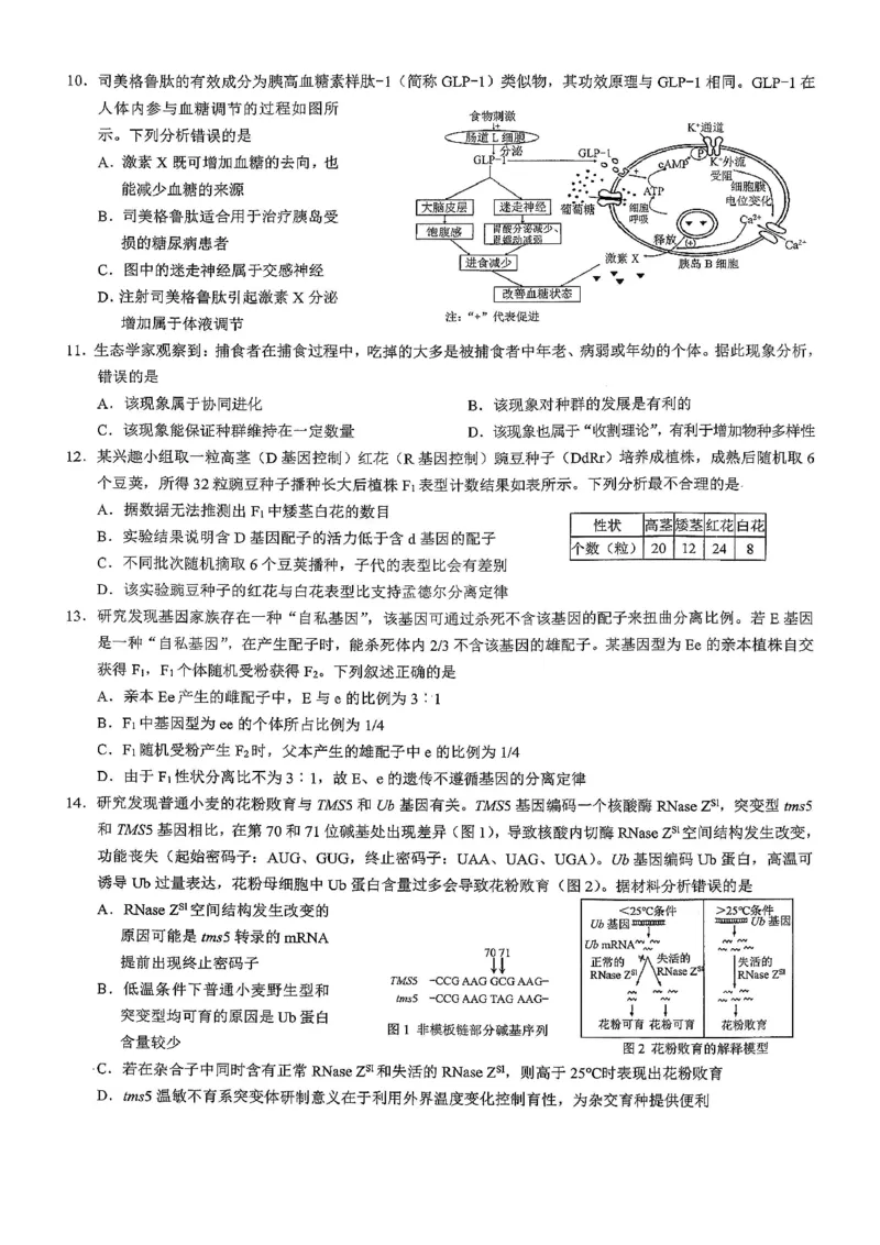 26康德模拟调研2生物(1)_2026年1月_2601122026年重庆市普通高中学业水平选择性考试高考模拟调研卷（二）（全科）