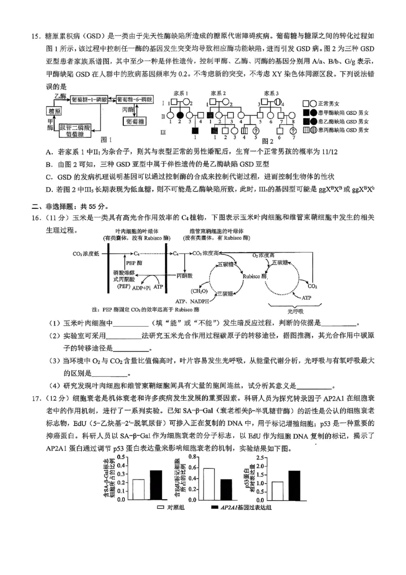 26康德模拟调研2生物(1)_2026年1月_2601122026年重庆市普通高中学业水平选择性考试高考模拟调研卷（二）（全科）