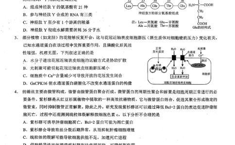 26康德模拟调研2生物(1)_2026年1月_2601122026年重庆市普通高中学业水平选择性考试高考模拟调研卷（二）（全科）