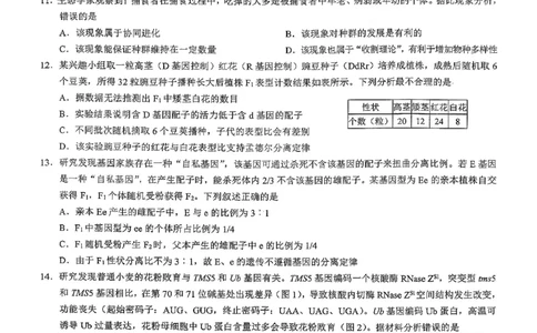 26康德模拟调研2生物(1)_2026年1月_2601122026年重庆市普通高中学业水平选择性考试高考模拟调研卷（二）（全科）
