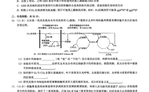 26康德模拟调研2生物(1)_2026年1月_2601122026年重庆市普通高中学业水平选择性考试高考模拟调研卷（二）（全科）