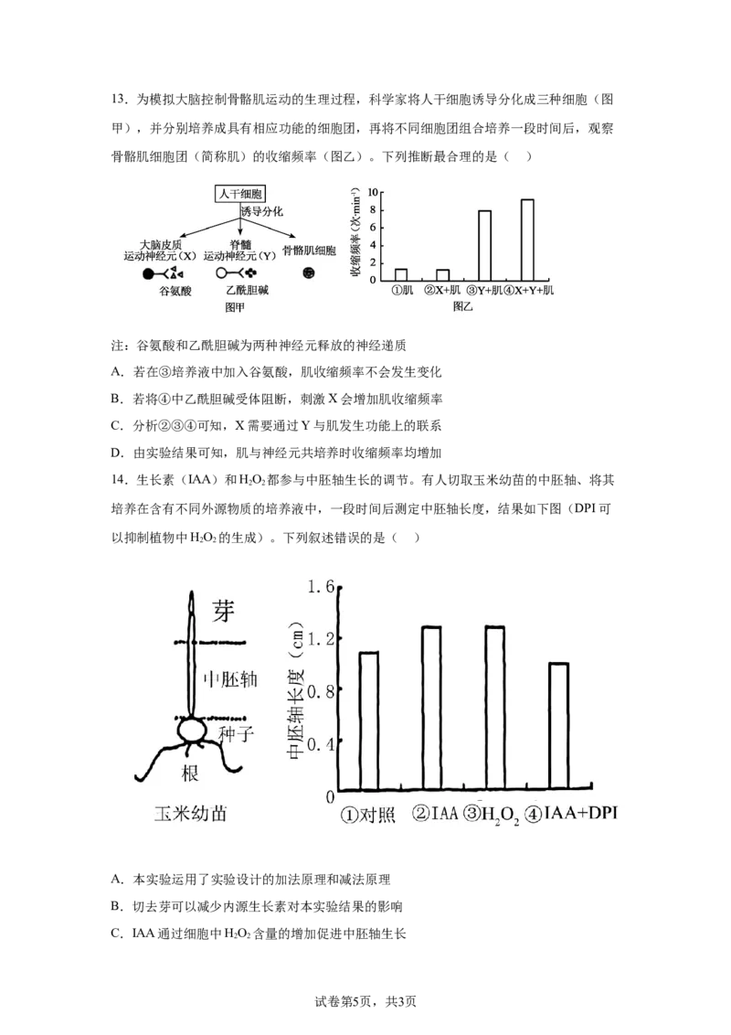四川2025年高考四川卷生物高考真题文档版-A4答案卷尾_1.高考2025全国各省真题+答案_9.高考生物真题答案更新中