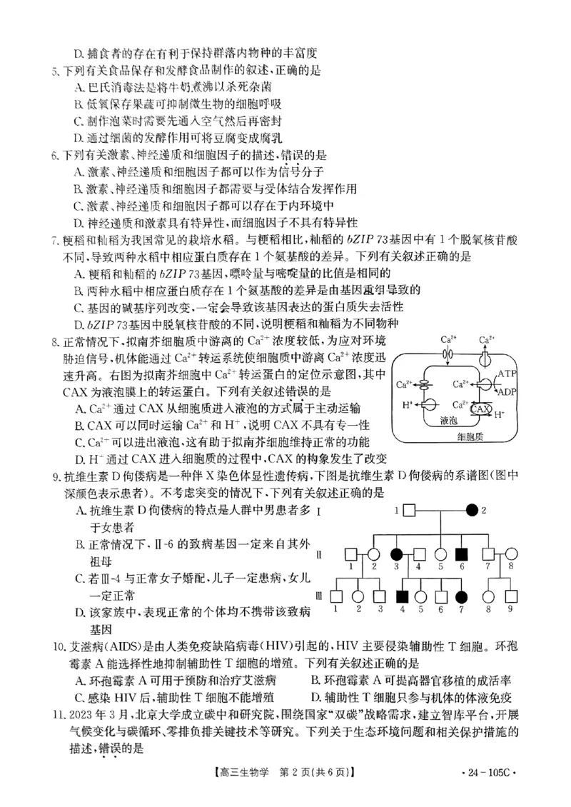 扫描件_生物学(1)_2023年10月_0210月合集_2024届广东省湛江市普通高中毕业班调研测试金太阳（24-105C）_广东省2024届湛江市普通高中毕业班调研测试金太阳（24-105C）生物