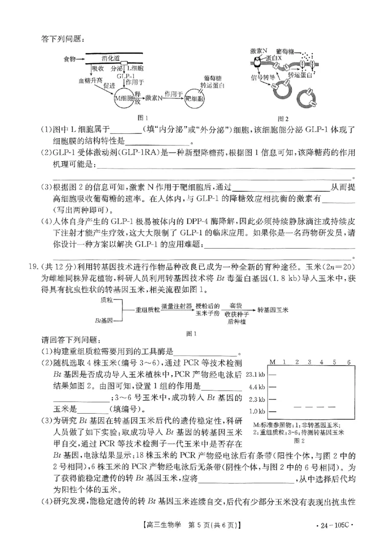 扫描件_生物学(1)_2023年10月_0210月合集_2024届广东省湛江市普通高中毕业班调研测试金太阳（24-105C）_广东省2024届湛江市普通高中毕业班调研测试金太阳（24-105C）生物