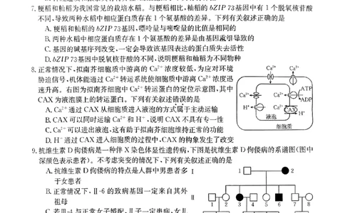 扫描件_生物学(1)_2023年10月_0210月合集_2024届广东省湛江市普通高中毕业班调研测试金太阳（24-105C）_广东省2024届湛江市普通高中毕业班调研测试金太阳（24-105C）生物