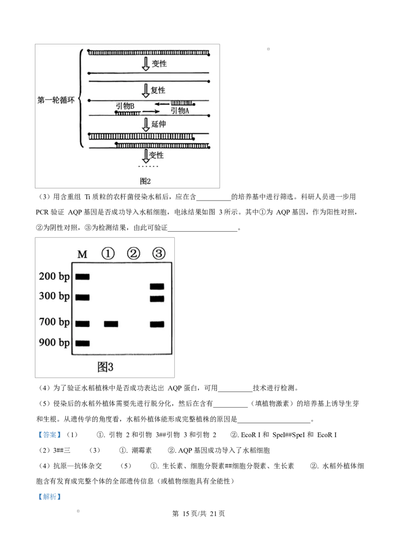 陕西省咸阳市实验中学2026届高三上学期第二次质量检测+生物答案_2025年10月_12026年试卷教辅资源等多个文件_251019陕西省咸阳市实验中学2026届高三上学期第二次质量检测（全科）