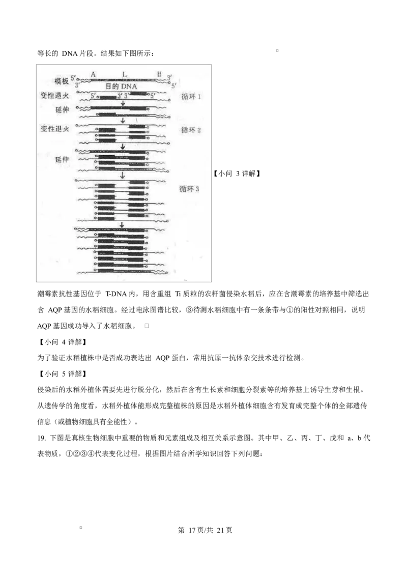 陕西省咸阳市实验中学2026届高三上学期第二次质量检测+生物答案_2025年10月_12026年试卷教辅资源等多个文件_251019陕西省咸阳市实验中学2026届高三上学期第二次质量检测（全科）