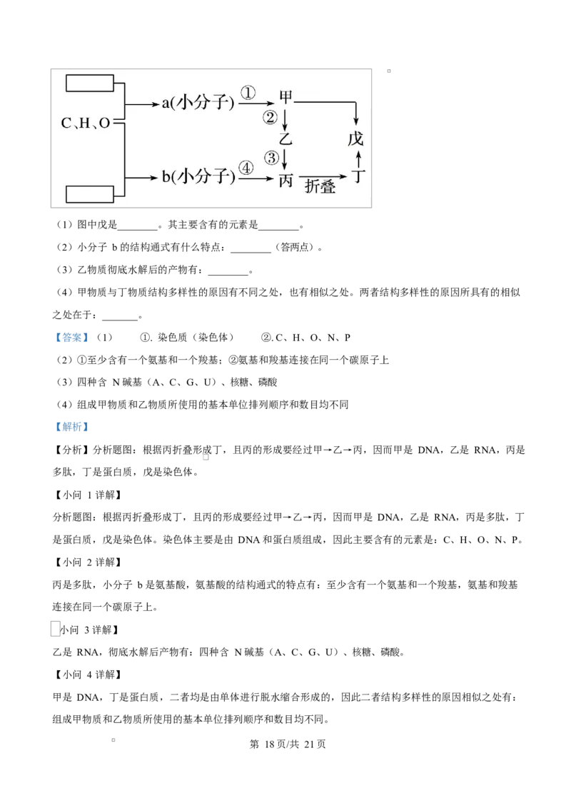 陕西省咸阳市实验中学2026届高三上学期第二次质量检测+生物答案_2025年10月_12026年试卷教辅资源等多个文件_251019陕西省咸阳市实验中学2026届高三上学期第二次质量检测（全科）