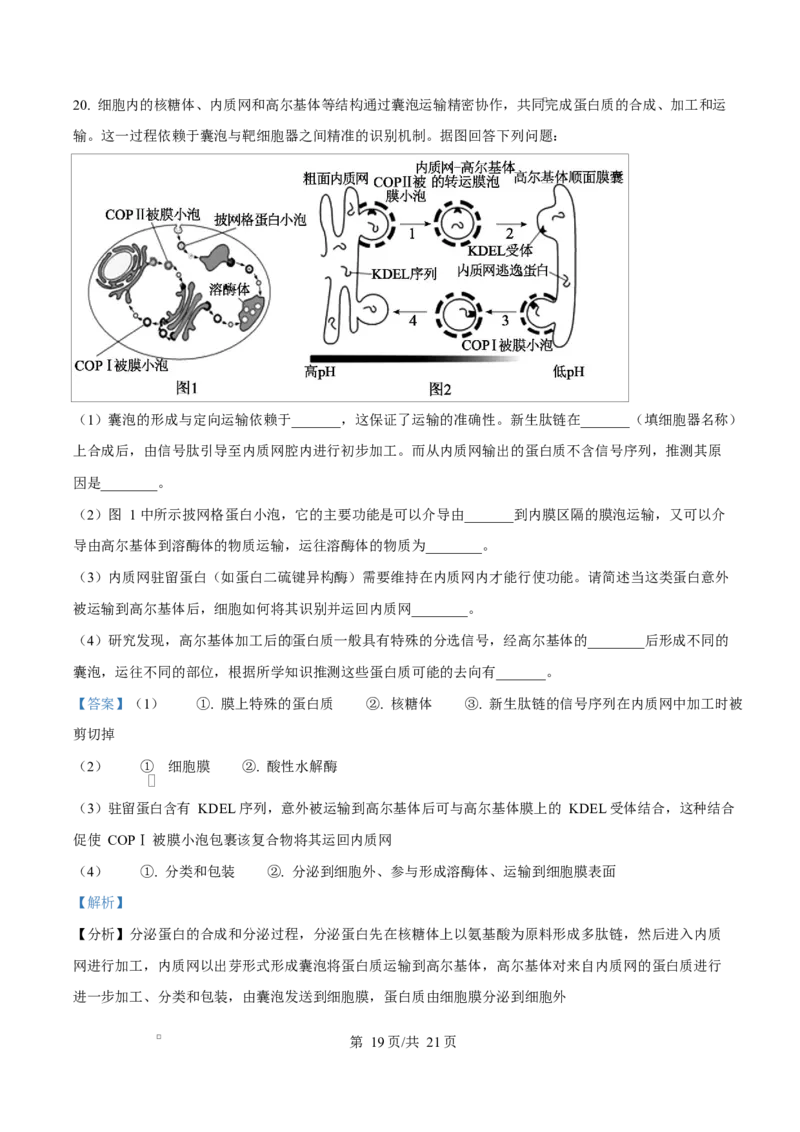 陕西省咸阳市实验中学2026届高三上学期第二次质量检测+生物答案_2025年10月_12026年试卷教辅资源等多个文件_251019陕西省咸阳市实验中学2026届高三上学期第二次质量检测（全科）