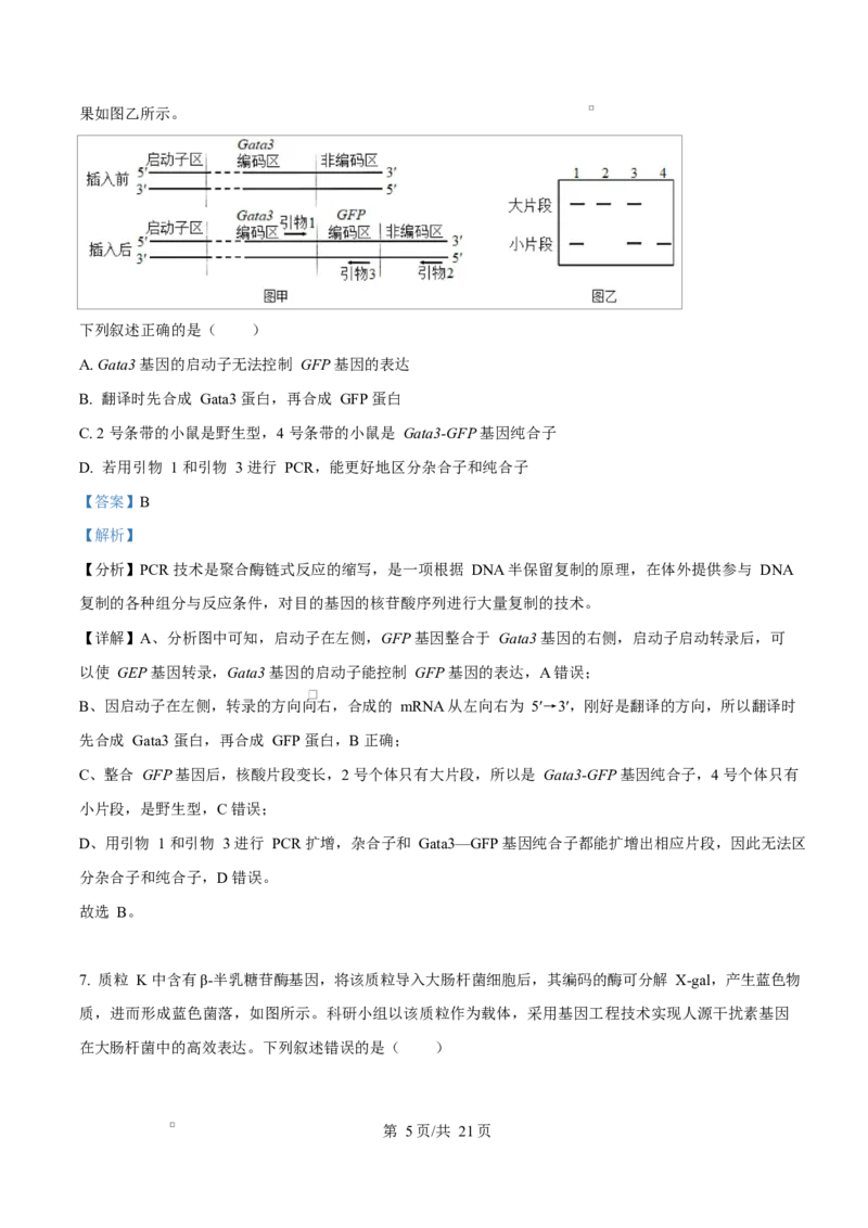 陕西省咸阳市实验中学2026届高三上学期第二次质量检测+生物答案_2025年10月_12026年试卷教辅资源等多个文件_251019陕西省咸阳市实验中学2026届高三上学期第二次质量检测（全科）