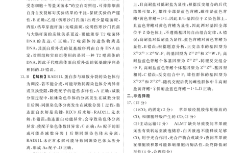 高三生物答案（2026届高三年级1月份适应性测试）(1)_2026年1月_260129衡水金卷2026届高三年级1月份适应性测试（全科）_高三生物电子文件（2026届高三年级1月份适应性测试）