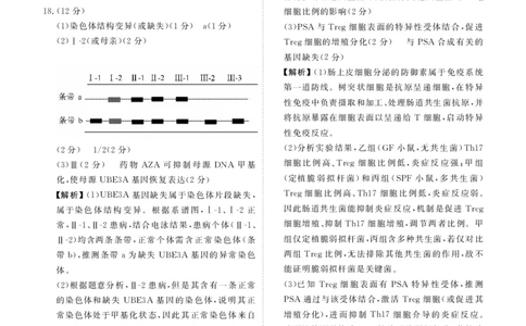 高三生物答案（2026届高三年级1月份适应性测试）(1)_2026年1月_260129衡水金卷2026届高三年级1月份适应性测试（全科）_高三生物电子文件（2026届高三年级1月份适应性测试）