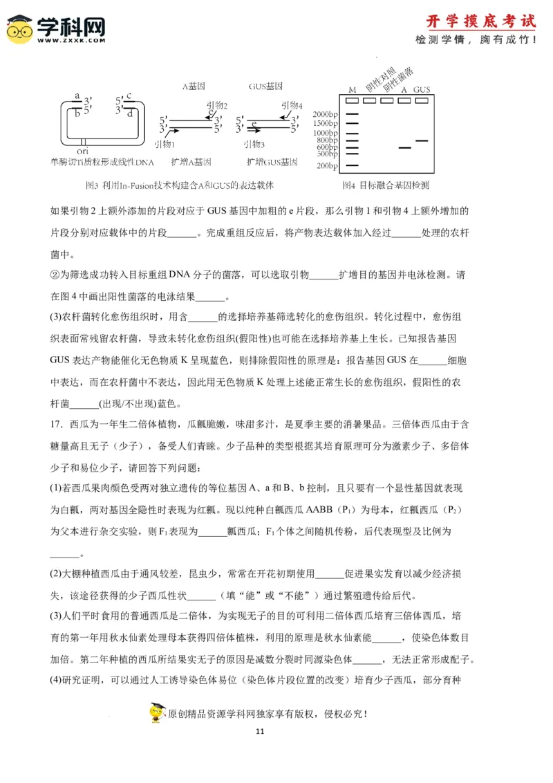 生物（天津卷）（考试版）_2024届新高三开学摸底考试卷_生物-2024届新高三开学摸底考试卷_生物-2024届新高三开学摸底考试卷（天津卷）