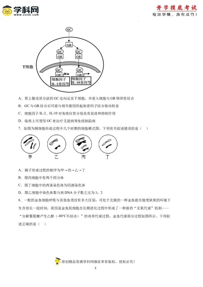 生物（天津卷）（考试版）_2024届新高三开学摸底考试卷_生物-2024届新高三开学摸底考试卷_生物-2024届新高三开学摸底考试卷（天津卷）