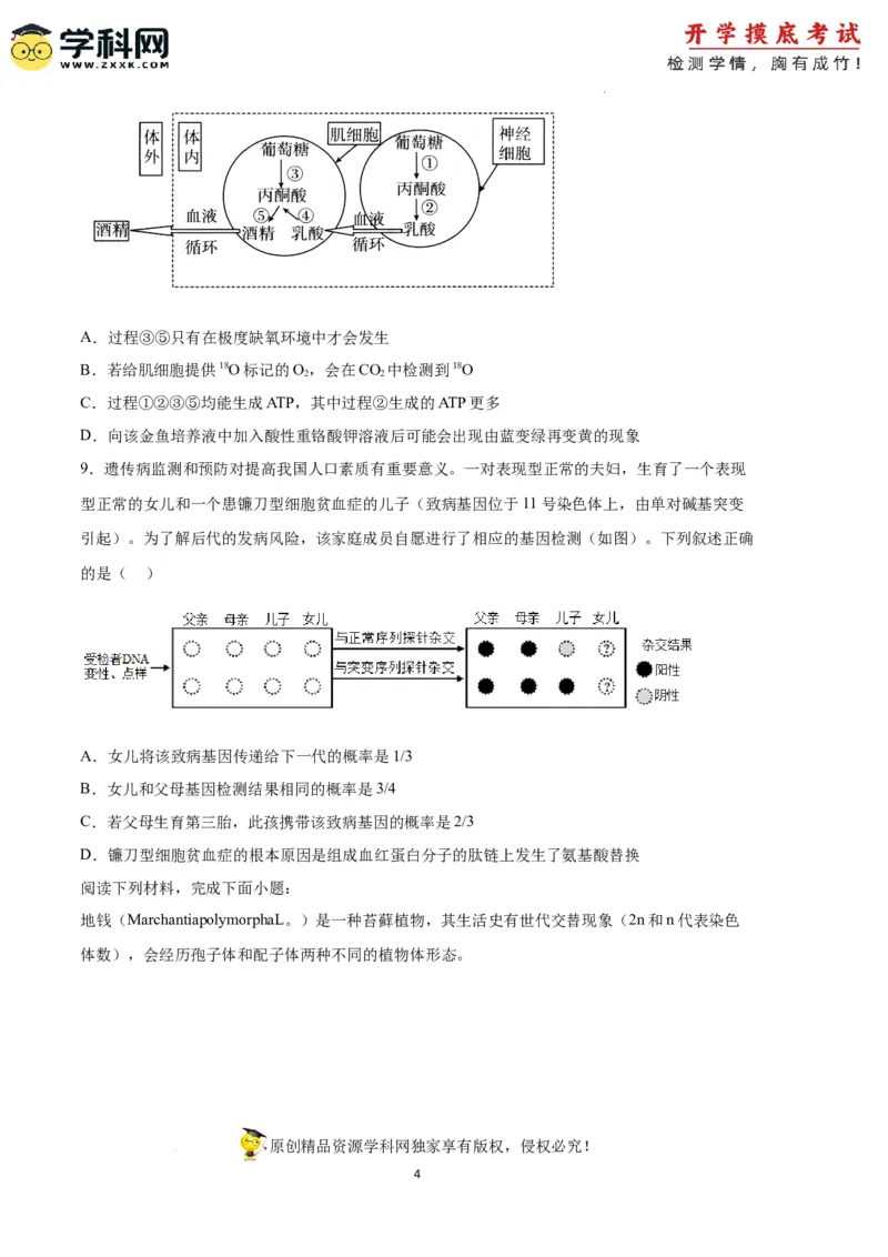 生物（天津卷）（考试版）_2024届新高三开学摸底考试卷_生物-2024届新高三开学摸底考试卷_生物-2024届新高三开学摸底考试卷（天津卷）