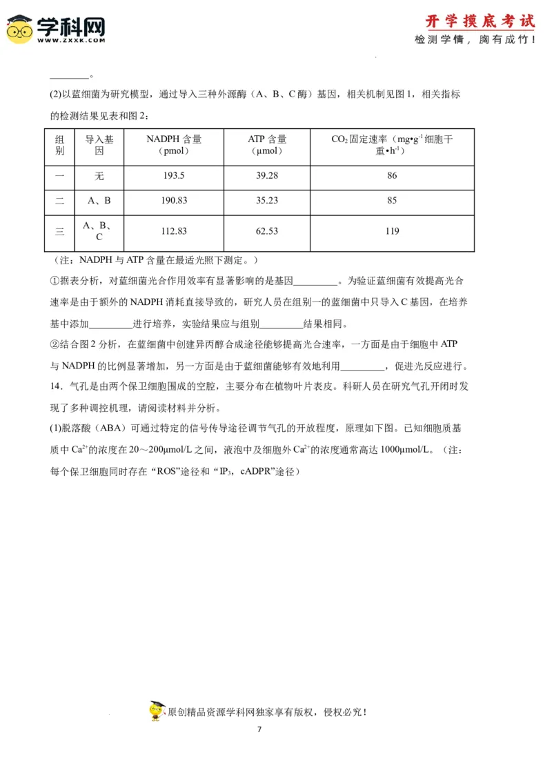 生物（天津卷）（考试版）_2024届新高三开学摸底考试卷_生物-2024届新高三开学摸底考试卷_生物-2024届新高三开学摸底考试卷（天津卷）