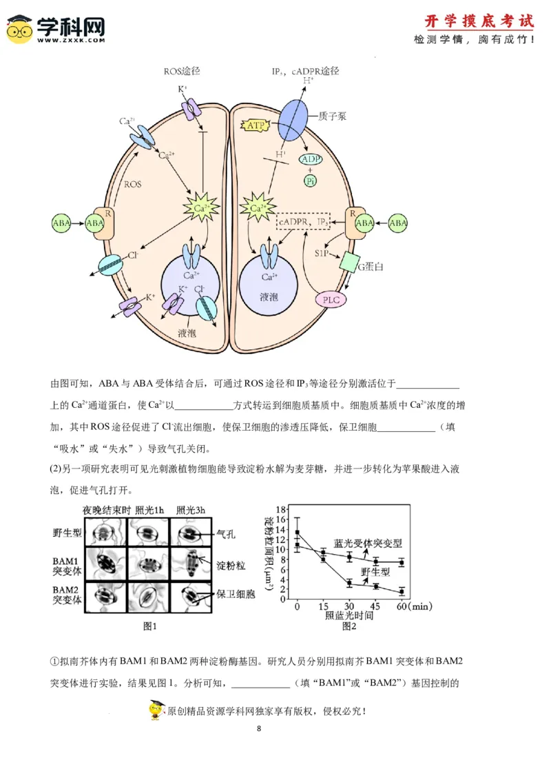 生物（天津卷）（考试版）_2024届新高三开学摸底考试卷_生物-2024届新高三开学摸底考试卷_生物-2024届新高三开学摸底考试卷（天津卷）