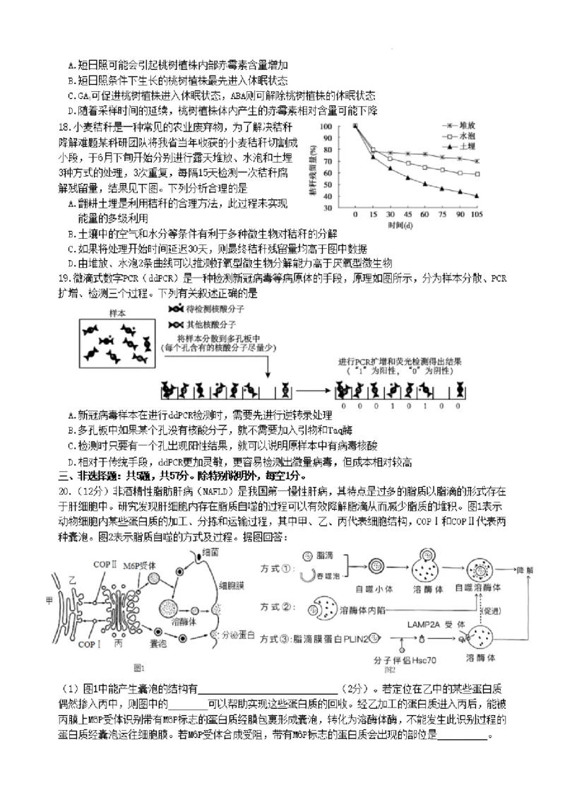 2024届高三夏令营学习能力测试生物试题_2023年8月_01每日更新_18号_2024届江苏省华罗庚中学高三上学期暑期夏令营学习能力测试