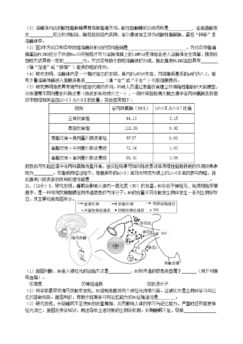 2024届高三夏令营学习能力测试生物试题_2023年8月_01每日更新_18号_2024届江苏省华罗庚中学高三上学期暑期夏令营学习能力测试