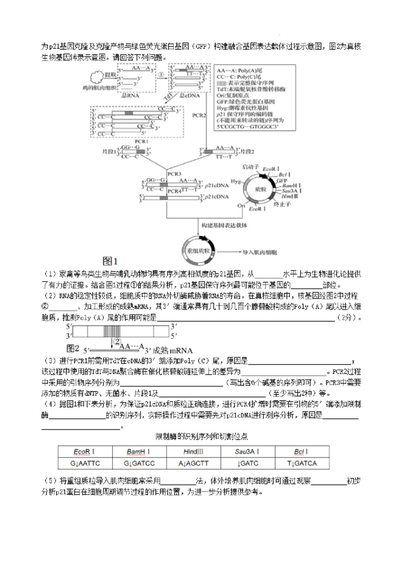 2024届高三夏令营学习能力测试生物试题_2023年8月_01每日更新_18号_2024届江苏省华罗庚中学高三上学期暑期夏令营学习能力测试